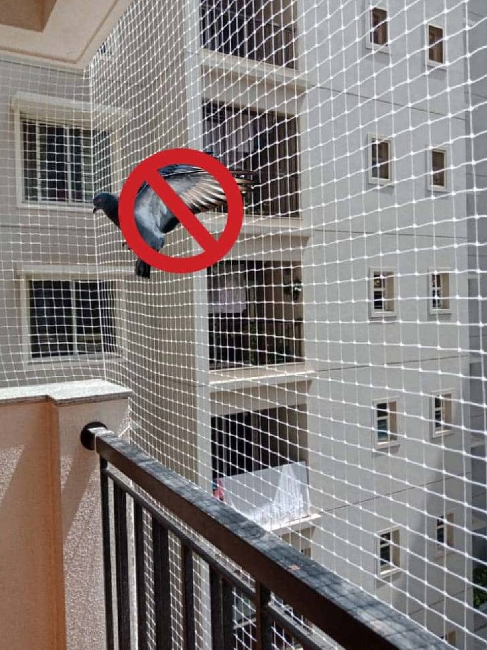 pigeon-net-for-balcony-near-me