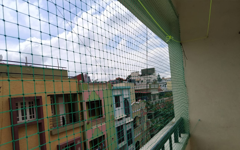 pigeons-nets-in-Hyderabad